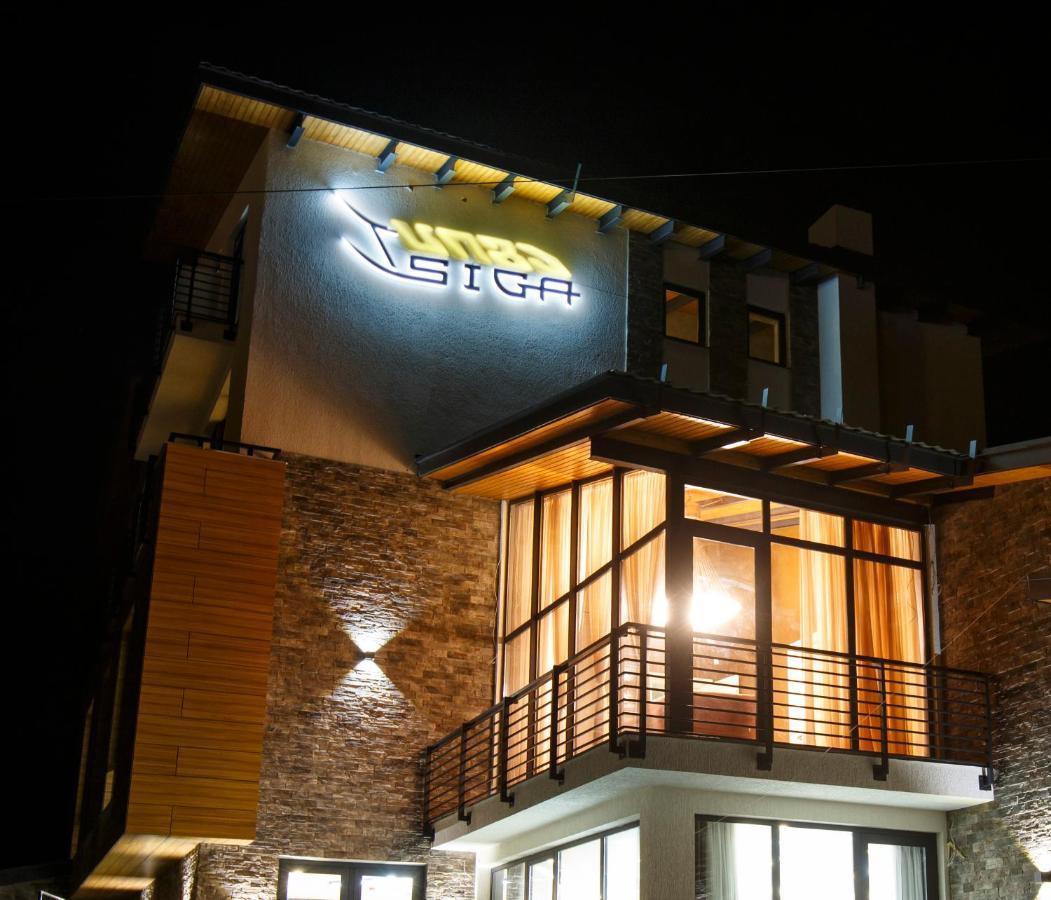 Hotel Tsiga Gudauri Dış mekan fotoğraf